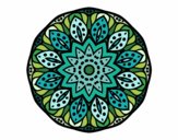 Mandala naturaleza