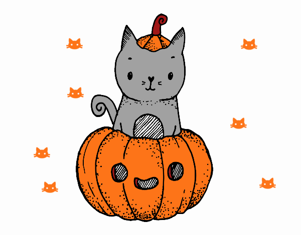 Un gatito de Halloween