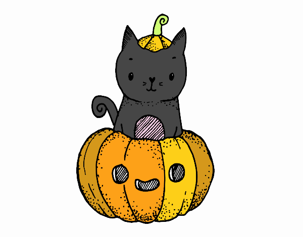 Un gatito de Halloween