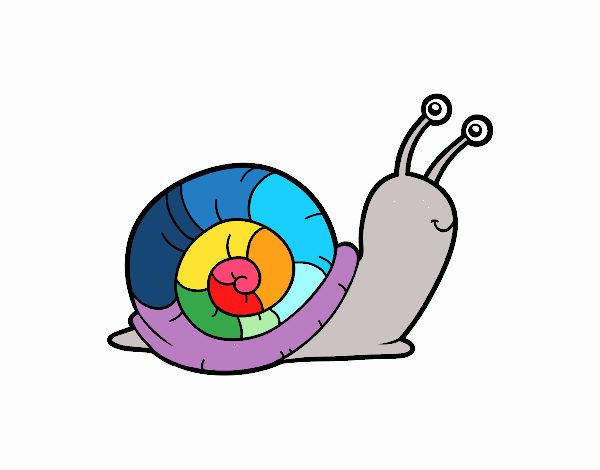 El caracol