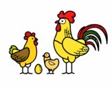 Familia gallina