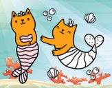 Gatos sirena