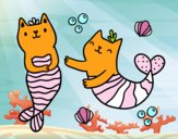 Gatos sirena