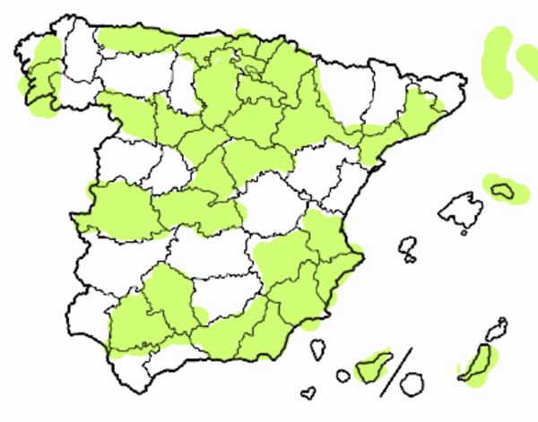 Las provincias de España