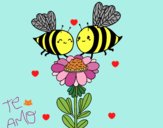 Pareja de abejas