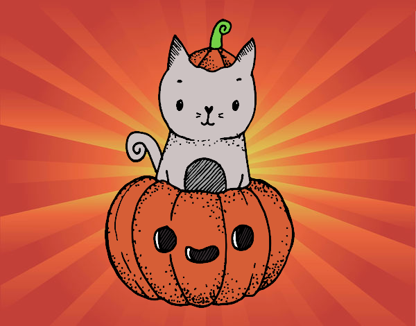 Un gatito de Halloween