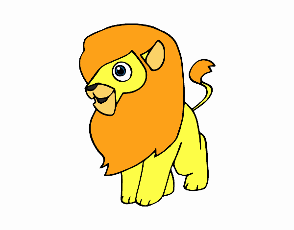 Un león