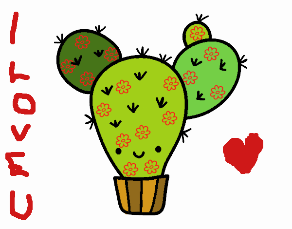 Cactus nopal