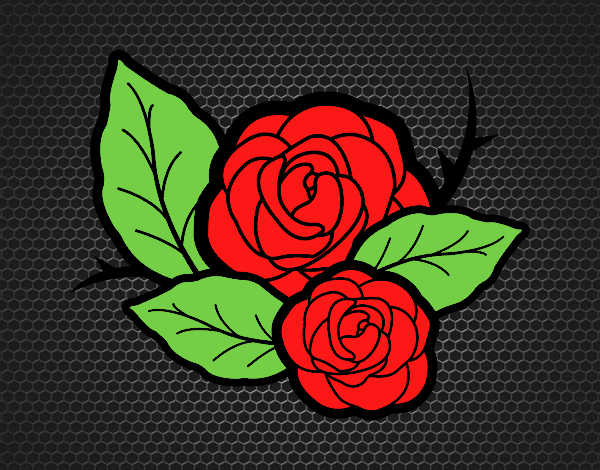 Dos rosas