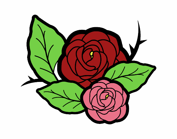 Dos rosas