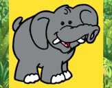 Elefante 6