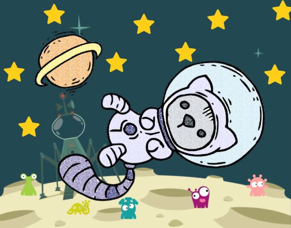 Gatito astronauta