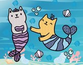 Gatos sirena