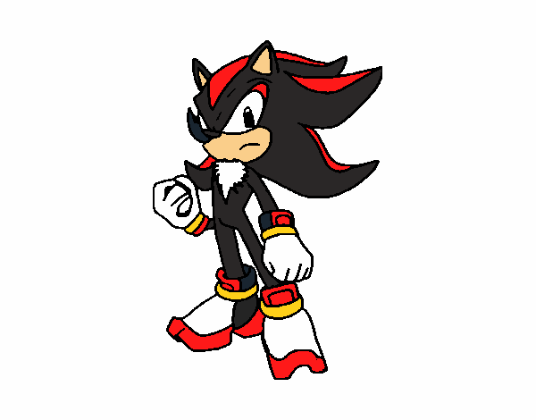 Shadow the hedgehog