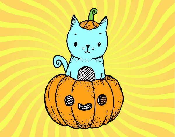 Un gatito de Halloween