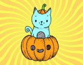 Un gatito de Halloween