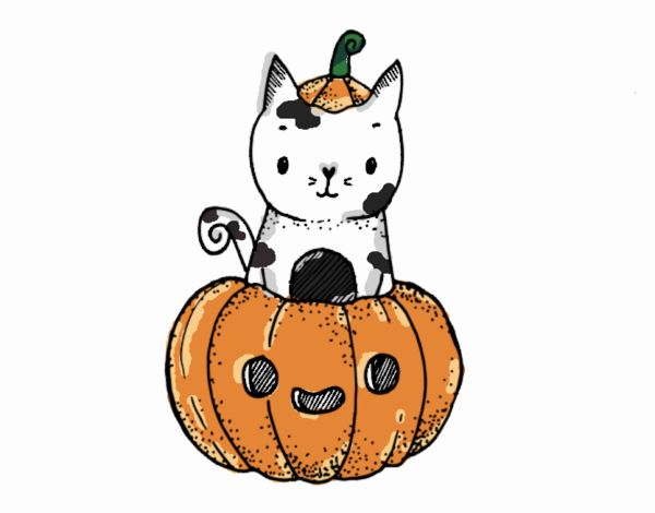 Un gatito de Halloween