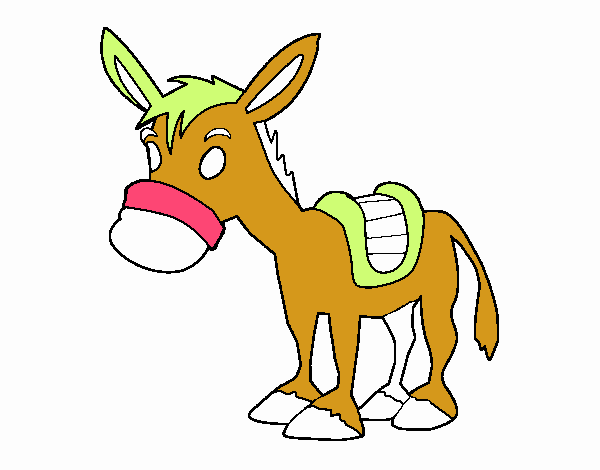 Burro de granja