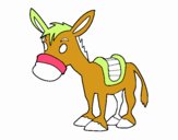 Burro de granja