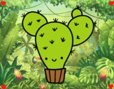 Cactus nopal