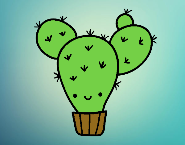 Cactus nopal