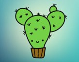 Cactus nopal