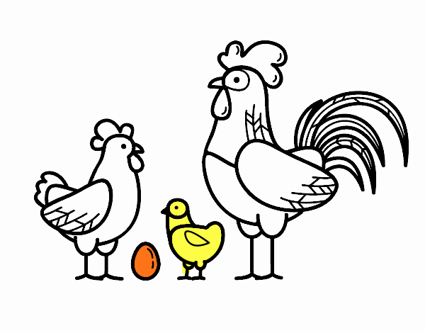 Familia gallina