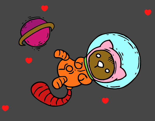 Gatito astronauta