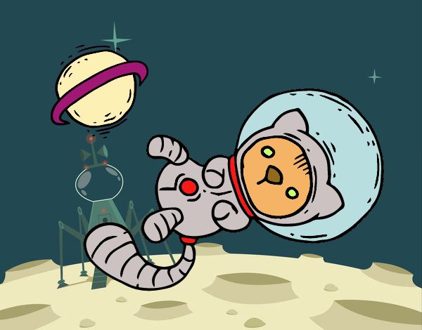 Gatito astronauta