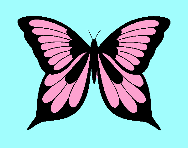 mariposa