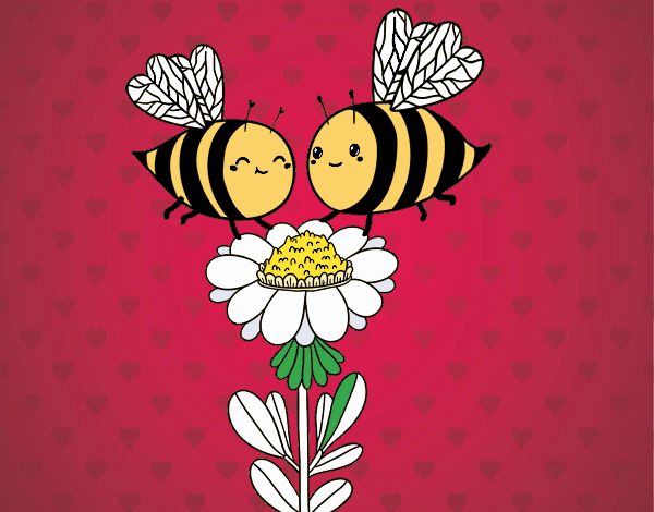 Pareja de abejas