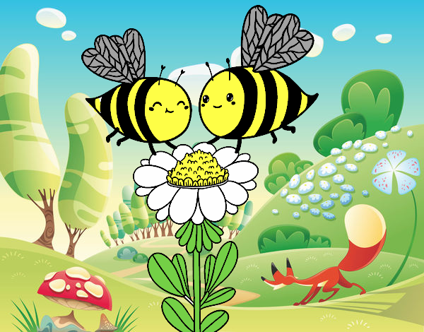 Pareja de abejas