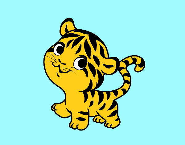 bebétigre