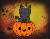 Un gatito de Halloween