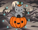 Un gatito de Halloween