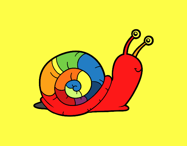 El caracol