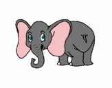 Elefante pequeño