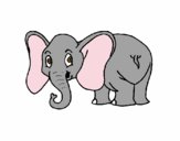 Elefante pequeño