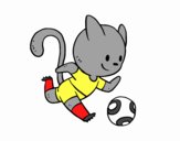 Gato jugando a fútbol