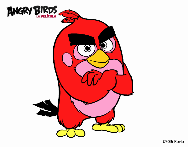 Red de Angry Birds