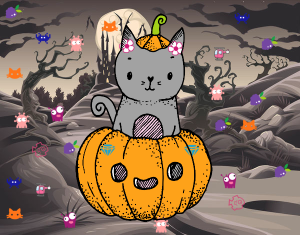 Un gatito de Halloween