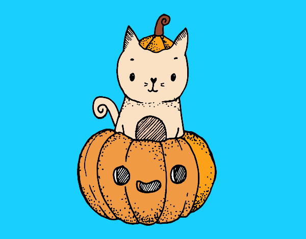 Un gatito de Halloween