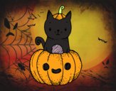 Un gatito de Halloween