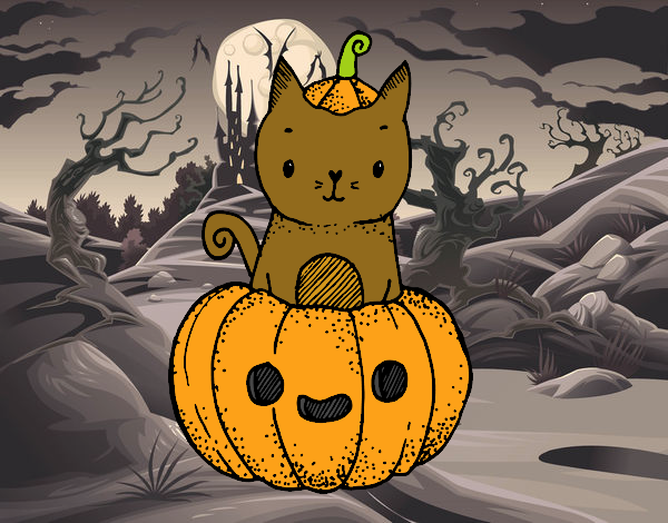 Un gatito de Halloween