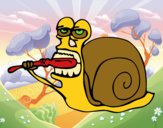 Caracol limpio