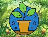 Cultivo Ecológico