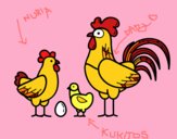 Familia gallina