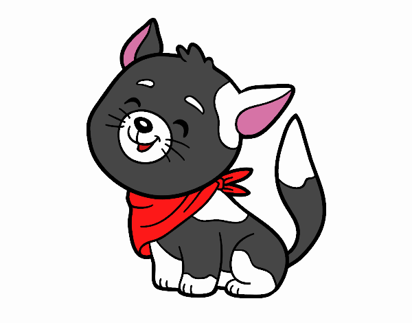 Gato con bandana