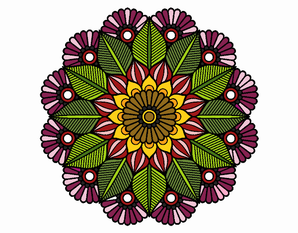 Mandala jardín vegetal