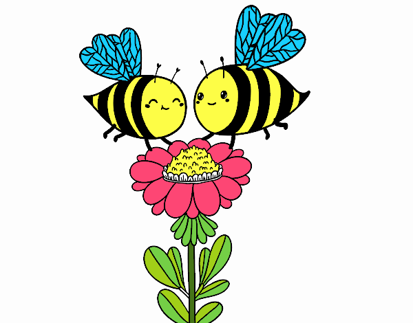 Pareja de abejas